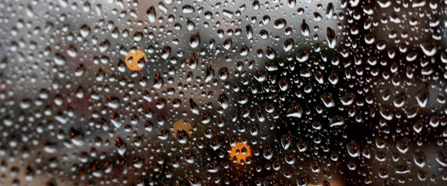 Journal d’une confinée #47 :  des larmes de pluie