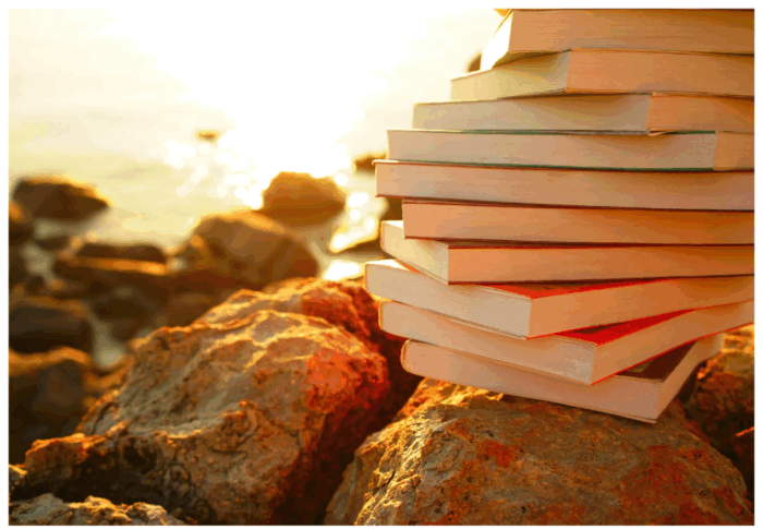 Pourquoi l’été est le moment préféré des livres ?